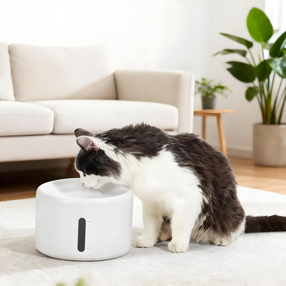 Automatic 2L Pet Water Fountain with Spout