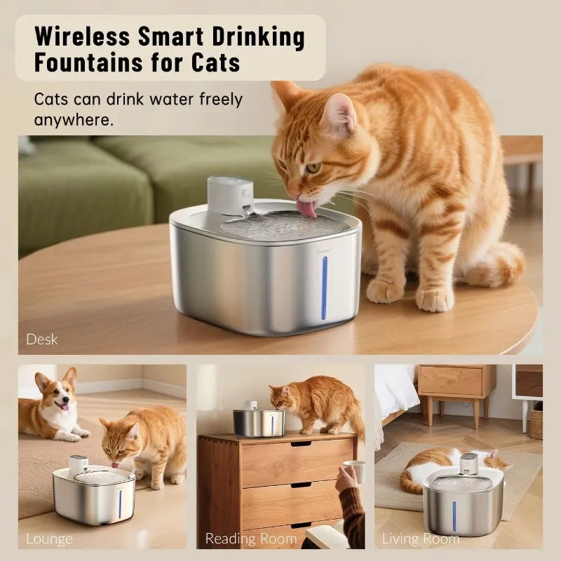 Wireless Freedom, Silent Care, Effortless Hydration for Your Pet!