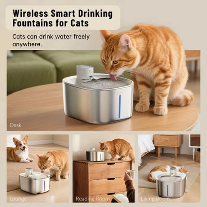 Wireless Freedom, Silent Care, Effortless Hydration for Your Pet!