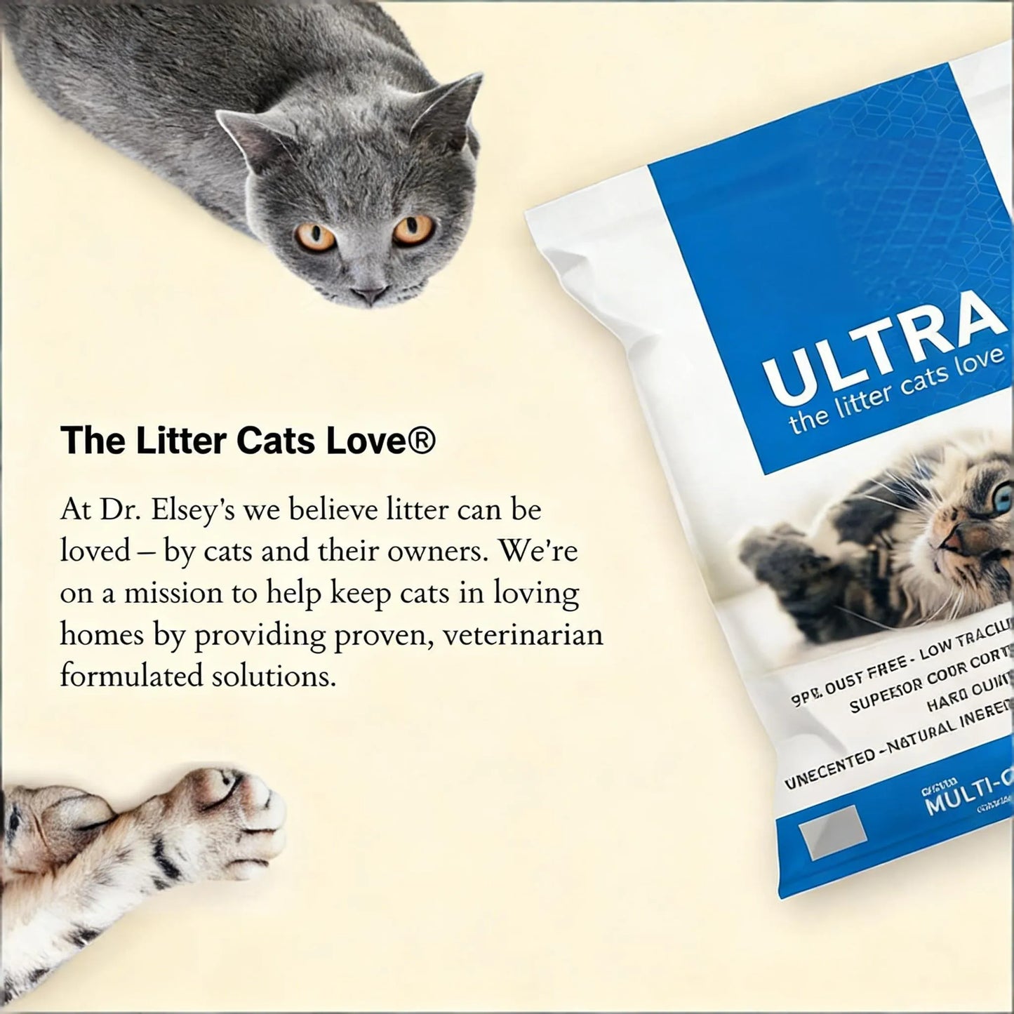 18lb Unscented Clay Litter, Quick Clumping & Easy Cleanup, A Secure Choice